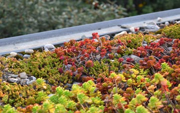 the cost of Bodney green roof installation