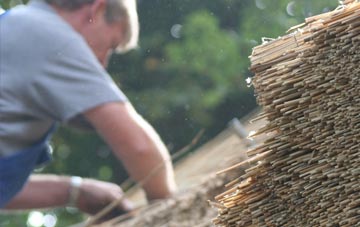 professional Bodney thatchers